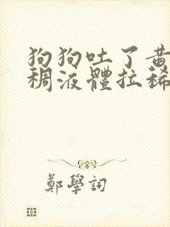 狗狗吐了黄黄粘稠液体拉稀