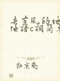 去有风的地方吉他谱c调简单版