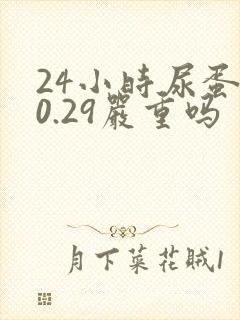 24小时尿蛋白0.29严重吗