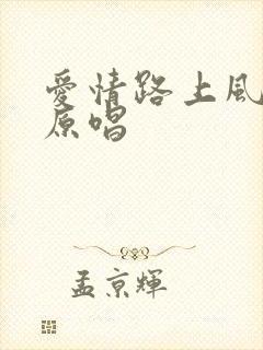 爱情路上风雨多原唱