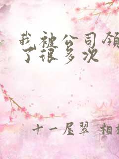 我被公司领导C了很多次