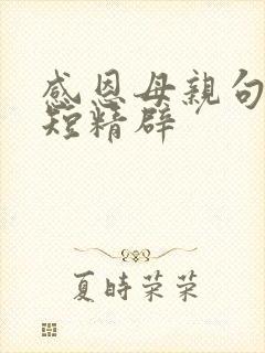 感恩母亲句子简短精辟