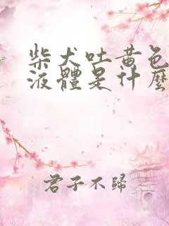 柴犬吐黄色泡沫液体是什么原因造成的