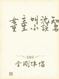 女主叫沈知微的重生小说名字