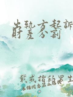 出轨方起诉离婚财产分割