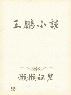 王鹏小说