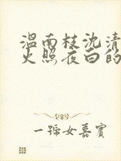 温南枝沈清宴烟火照夜白的小说