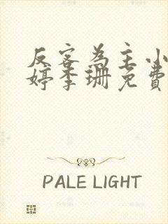 反客为主小说陈婷李珊免费阅读