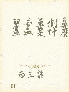 儿童单侧鼻孔流鼻血是什么原因