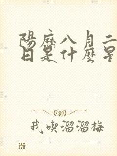 阳历八月二十二日是什么星座