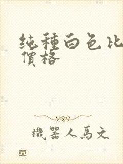 纯种白色比熊犬价格