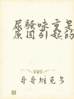 尿骚味重是什么原因引起的