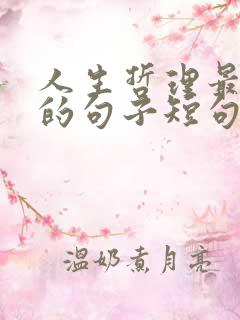 人生哲理最精辟的句子短句