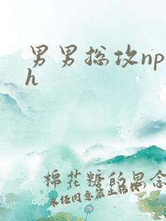 男男总攻np高h