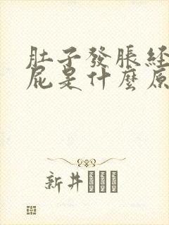 肚子发胀经常放屁是什么原因