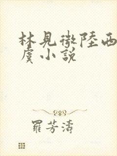 林见微陆西舟白虞小说