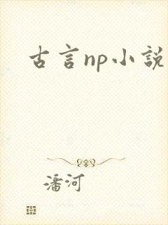 古言np小说h