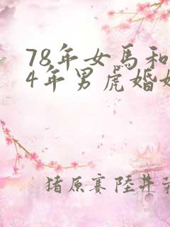 78年女马和74年男虎婚姻怎么样