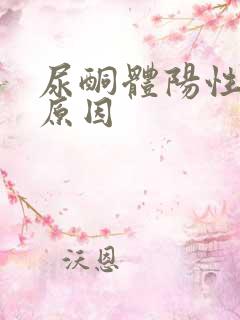 尿酮体阳性什么原因