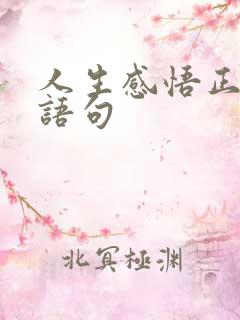 人生感悟正能量语句