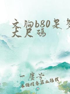 文胸b80是多大尺码