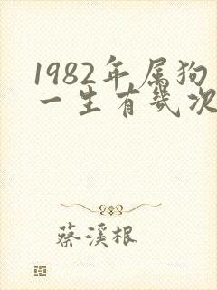 1982年属狗一生有几次婚姻