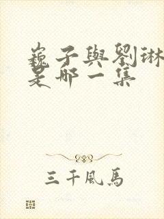 巍子与刘琳吻戏是哪一集