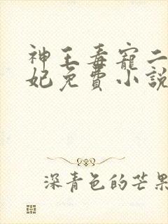 神王毒宠二嫁王妃免费小说