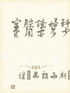 宫腔镜妇科检查费用要多少