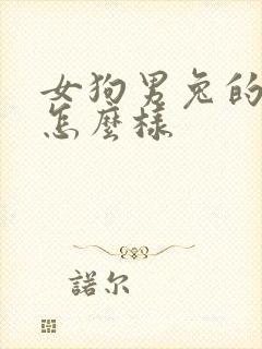 女狗男兔的姻缘怎么样