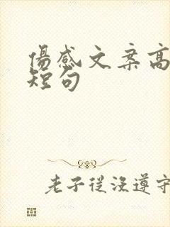 伤感文案高级感短句