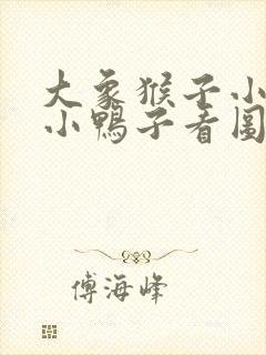 大象猴子小熊救小鸭子看图写话题目叫什么