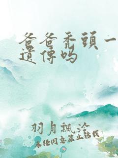 爸爸秃头一定会遗传吗