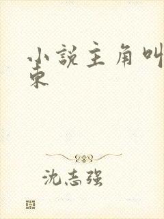 小说主角叫徐文东