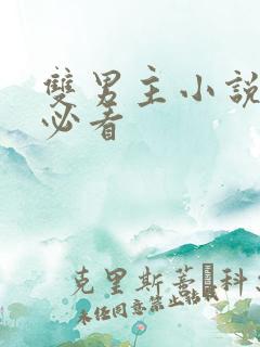 双男主小说推荐必看