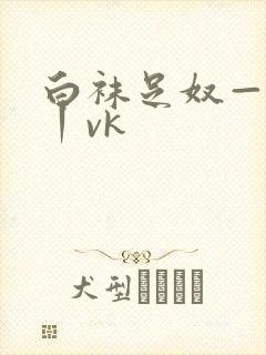 白袜足奴—视频丨vk