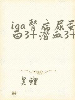 iga肾病尿蛋白3+潜血3+严重吗
