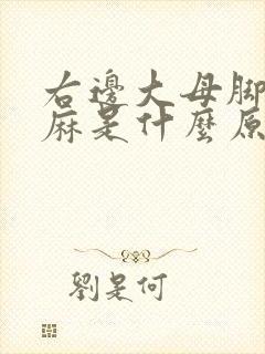 右边大母脚趾头麻是什么原因