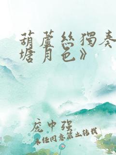 葫芦丝独奏《荷塘月色》