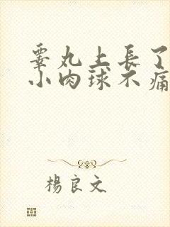 睾丸上长了一个小肉球不痛不痒