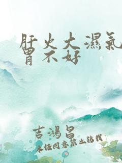 肝火大湿气重脾胃不好