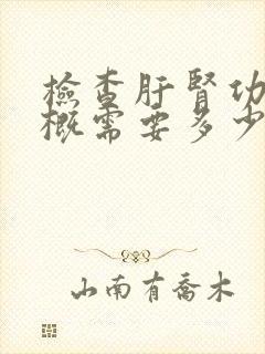 检查肝肾功能大概需要多少费用