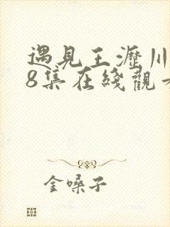 遇见王沥川第38集在线观看