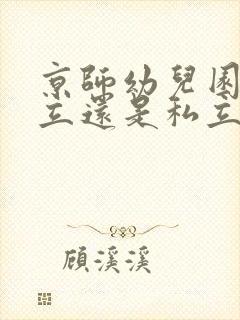 京师幼儿园是公立还是私立