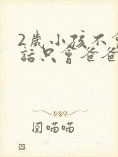 2岁小孩不会说话只会爸爸妈妈