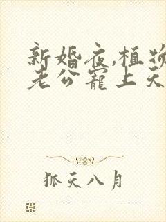 新婚夜,植物人老公宠上天