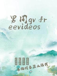 男同gv freevideos