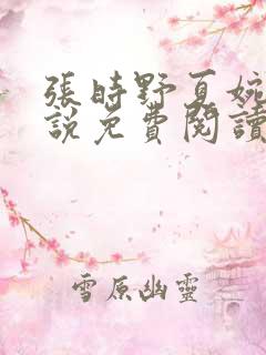 张时野夏婉央小说免费阅读笔趣阁