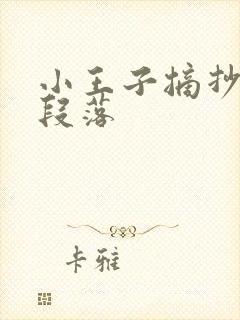 小王子摘抄优美段落