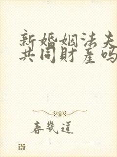 新婚姻法夫妻有共同财产吗